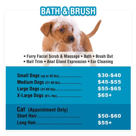 Animal House Grooming Prices Eryn Loving Animal House Grooming Prices Eryn Loving