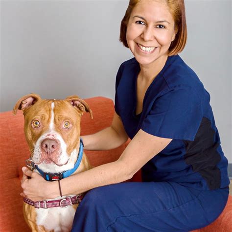 Castillo Animal Vegan Vet Castilloanimalveganvet Instagram Photos And Videos Castillo Animal Vegan Vet Castilloanimalveganvet Instagram Photos And Videos