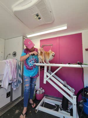 Grooming With Love Mobile Pet Spa Updated May 2025 36 Photos Las Grooming With Love Mobile Pet Spa Updated May 2025 36 Photos Las