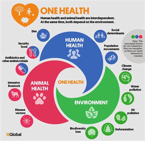 Key Components Of Wellness And Mental Health News About Today S Key Components Of Wellness And Mental Health News About Today S