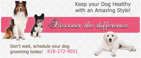 Mobile Dog Grooming L A Professional Grooming Throughout Los Angeles Mobile Dog Grooming L A Professional Grooming Throughout Los Angeles