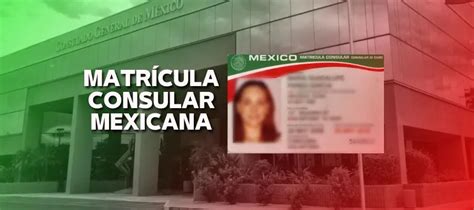 Mobile Mexican Consulate 2025 Fusanosuke Ide