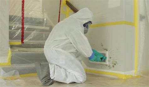 Mold Remediation Mobile AL Services