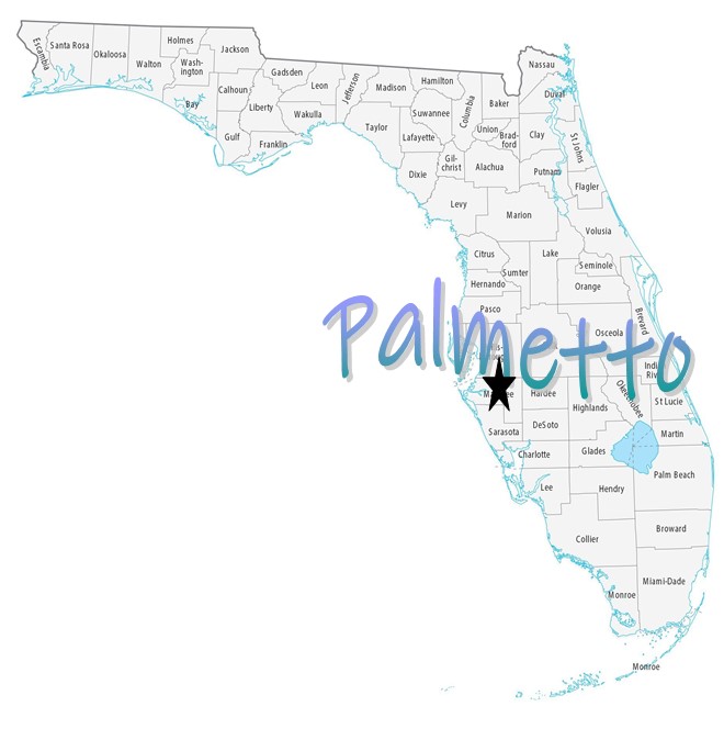 Palmetto Mobile Homes For Sale