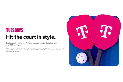 T Mobile Pickleball Set