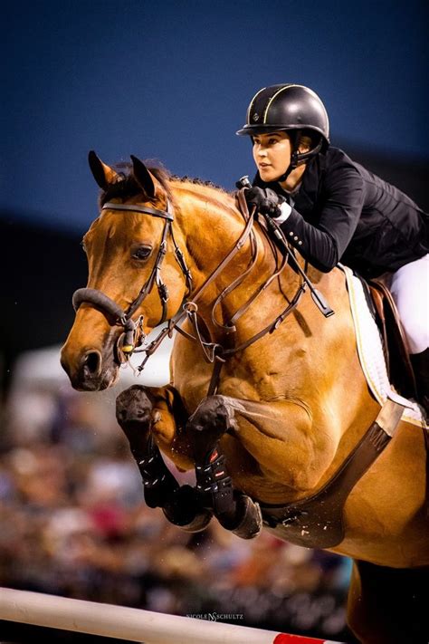 Under The Lights In Tryon Equine Photographer Show Horses Still Under The Lights In Tryon Equine Photographer Show Horses Still