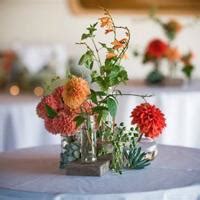 Your Organizing Identity Home Gardening Napavalleyregister Com Your Organizing Identity Home Gardening Napavalleyregister Com